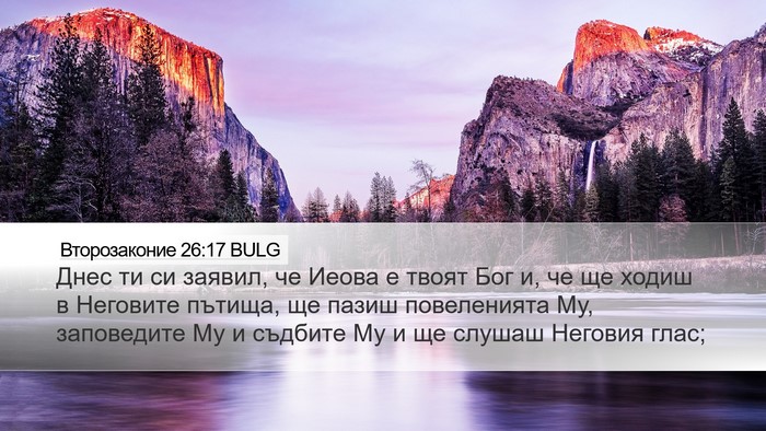 Второзаконие 26:17 BULG Bible Verse Image
