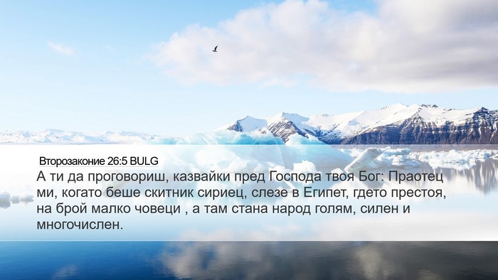 Второзаконие 26:5 BULG Bible Verse Image