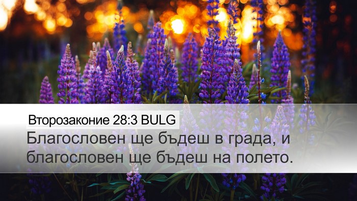 Второзаконие 28:3 BULG Bible Verse Image