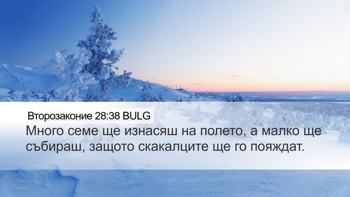 Второзаконие 28:38 BULG Bible Verse Image