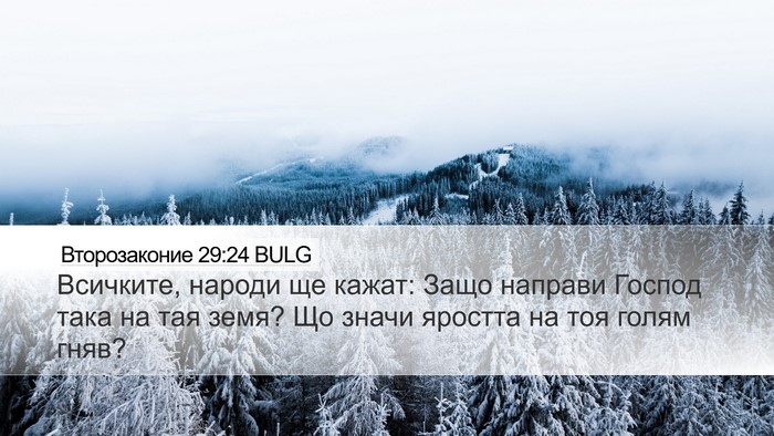 Второзаконие 29:24 BULG Bible Verse Image