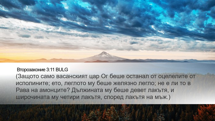 Второзаконие 3:11 BULG Bible Verse Image