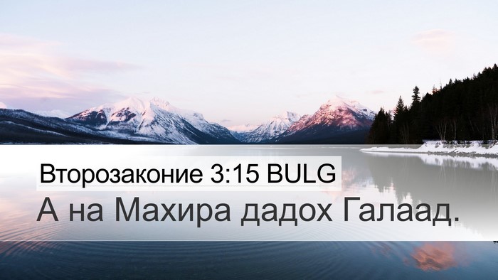 Второзаконие 3:15 BULG Bible Verse Image