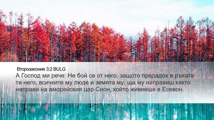 Второзаконие 3:2 BULG Desktop Wallpaper - А Господ ми рече: Не бой се - Desktop Bible Verse Wallpaper