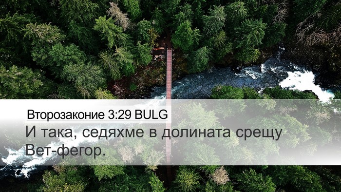 Второзаконие 3:29 BULG Bible Verse Image