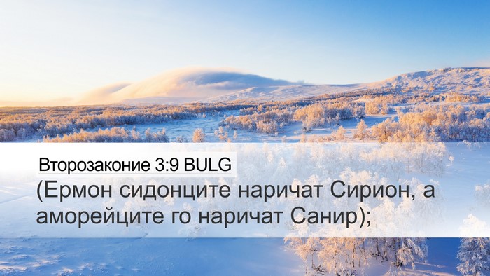 Второзаконие 3:9 BULG Bible Verse Image