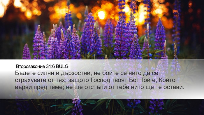 Второзаконие 31:6 BULG Bible Verse Image
