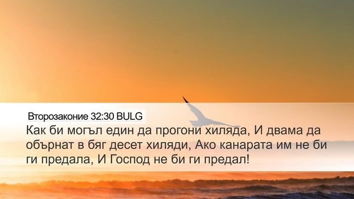 Второзаконие 32:30 BULG Bible Verse Image