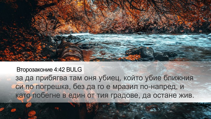 Второзаконие 4:42 BULG Desktop Wallpaper - за да прибягва там оня - Desktop Bible Verse Wallpaper