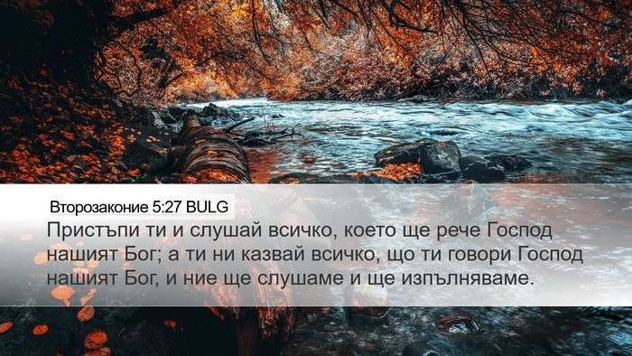 Второзаконие 5:27 BULG Bible Verse Image