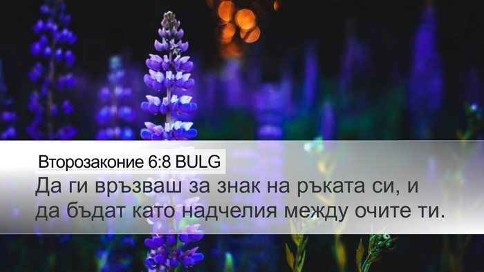 Второзаконие 6:8 BULG Bible Verse Image