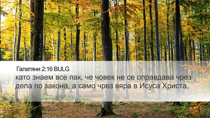Галатяни 2:16 BULG Bible Verse Image
