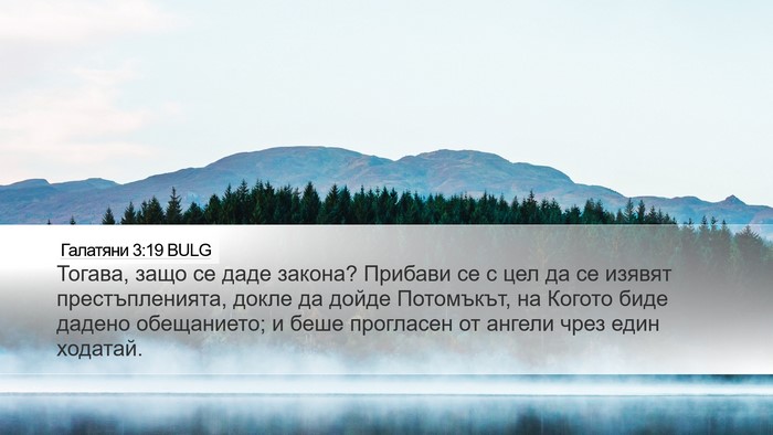 Галатяни 3:19 BULG Bible Verse Image