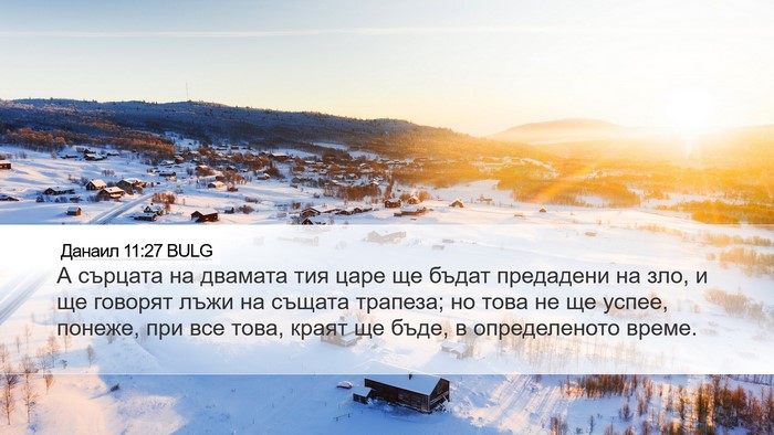 Данаил 11:27 BULG Bible Verse Image