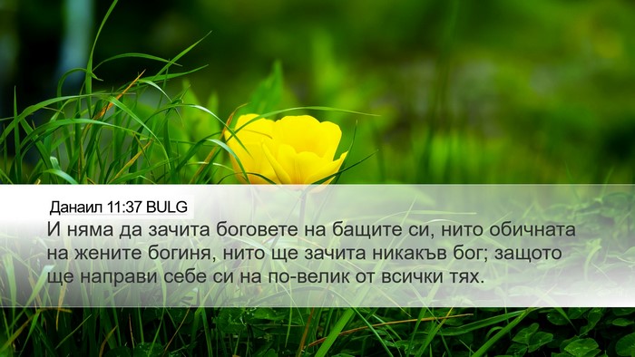 Данаил 11:37 BULG Desktop Wallpaper - И няма да зачита боговете - Desktop Bible Verse Wallpaper