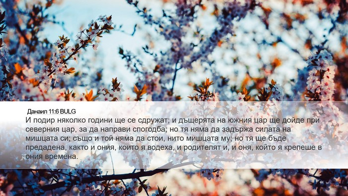 Данаил 11:6 BULG Bible Verse Image