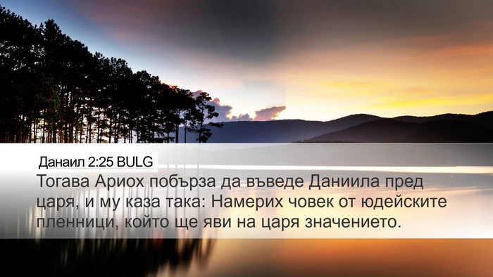 Данаил 2:25 BULG Bible Verse Image