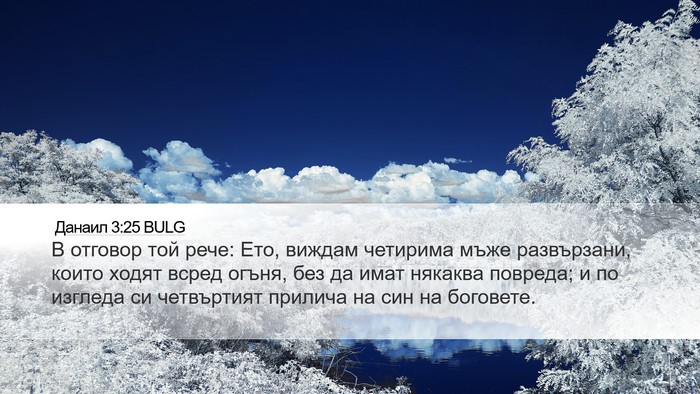 Данаил 3:25 BULG Bible Verse Image