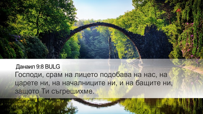 Данаил 9:8 BULG Bible Verse Image