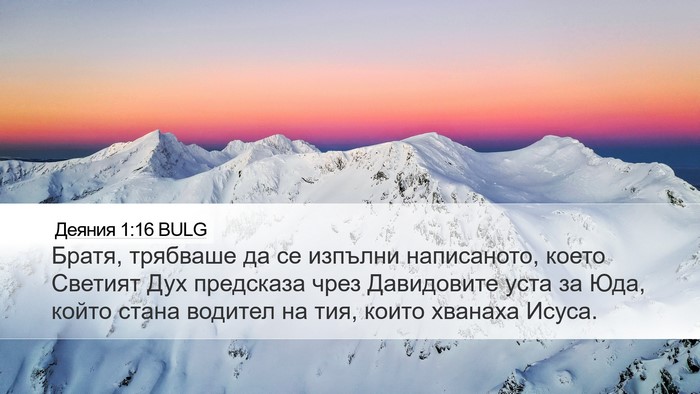Деяния 1:16 BULG Bible Verse Image
