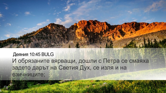 Деяния 10:45 BULG Bible Verse Image