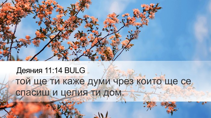 Деяния 11:14 BULG Bible Verse Image