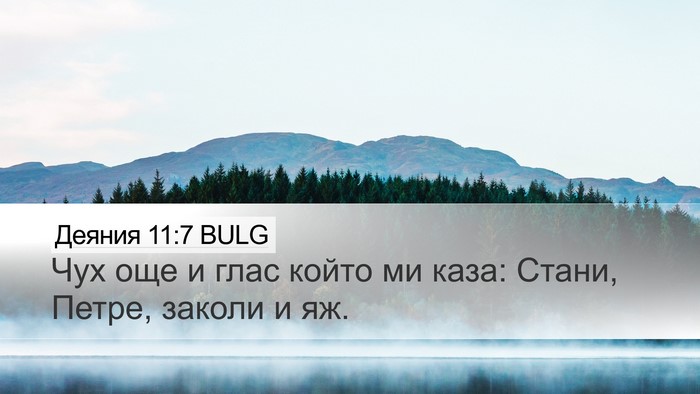 Деяния 11:7 BULG Desktop Wallpaper - Чух още и глас който ми - Desktop Bible Verse Wallpaper
