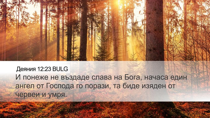 Деяния 12:23 BULG Bible Verse Image