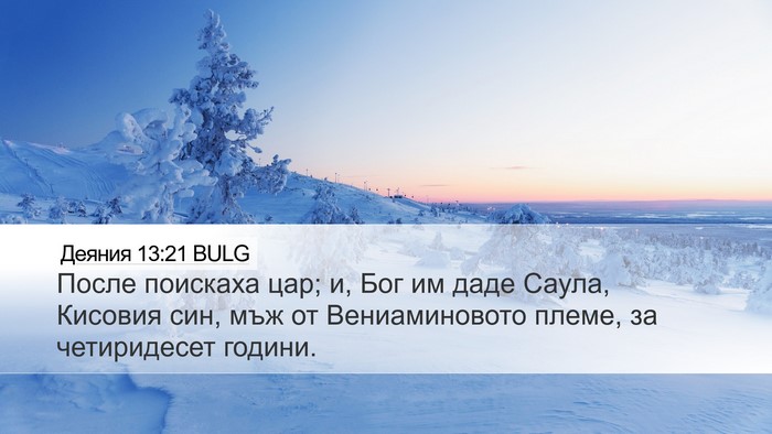 Деяния 13:21 BULG Bible Verse Image