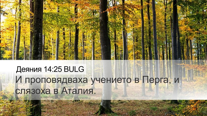 Деяния 14:25 BULG Bible Verse Image