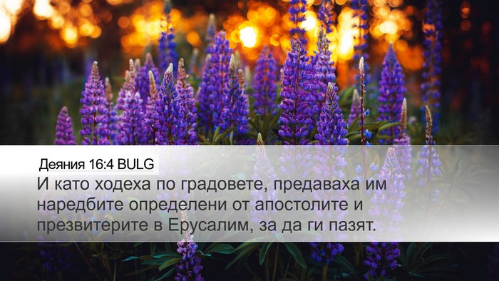 Деяния 16:4 BULG Desktop Wallpaper - И като ходеха по градовете, - Desktop Bible Verse Wallpaper
