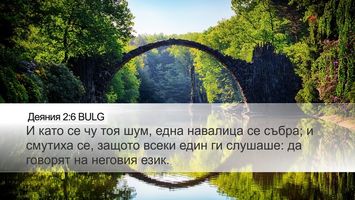 Деяния 2:6 BULG Bible Verse Image