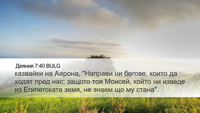 Деяния 7:40 BULG Bible Verse Image