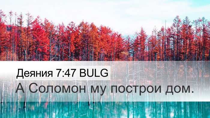Деяния 7:47 BULG Bible Verse Image