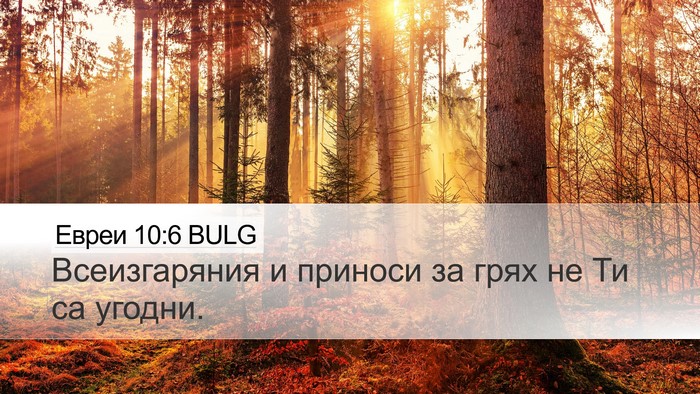 Евреи 10:6 BULG Bible Verse Image