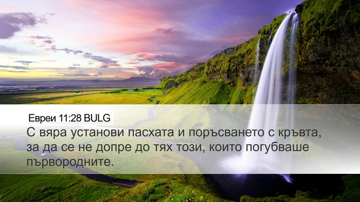 Евреи 11:28 BULG Bible Verse Image