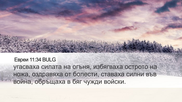 Евреи 11:34 BULG Bible Verse Image