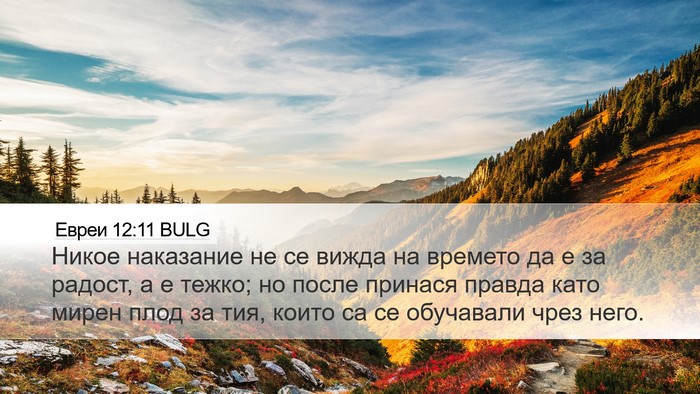 Евреи 12:11 BULG Bible Verse Image