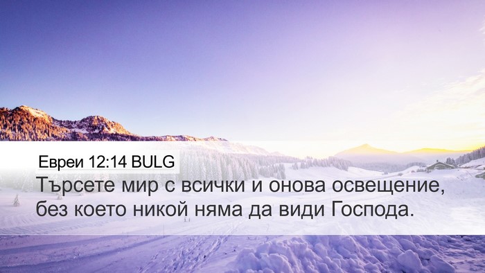 Евреи 12:14 BULG Bible Verse Image