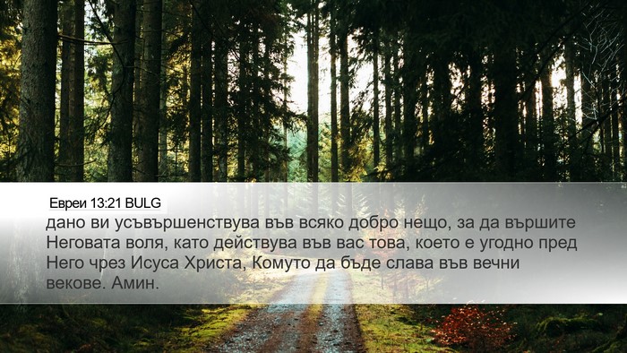 Евреи 13:21 BULG Bible Verse Image