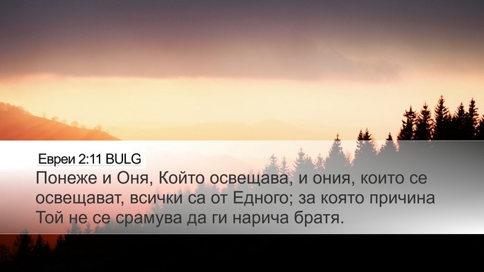 Евреи 2:11 BULG Bible Verse Image
