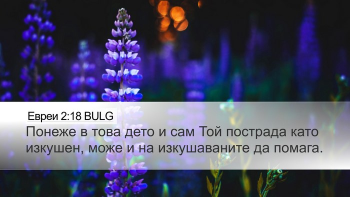 Евреи 2:18 BULG Bible Verse Image