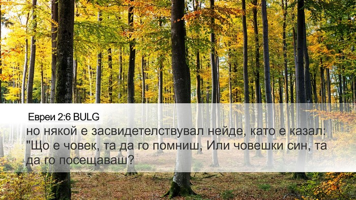 Евреи 2:6 BULG Bible Verse Image