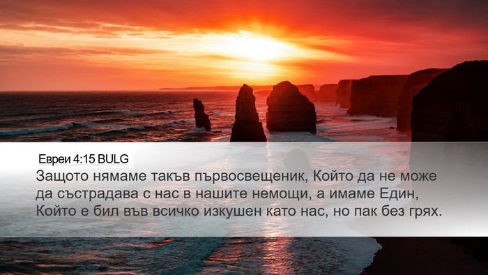 Евреи 4:15 BULG Bible Verse Image