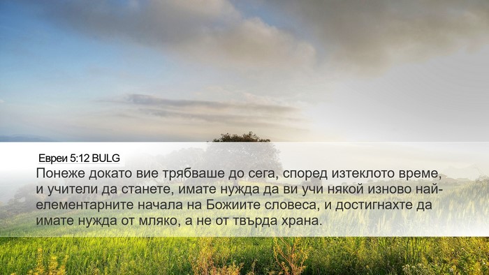 Евреи 5:12 BULG Bible Verse Image