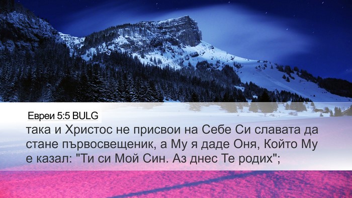 Евреи 5:5 BULG Bible Verse Image