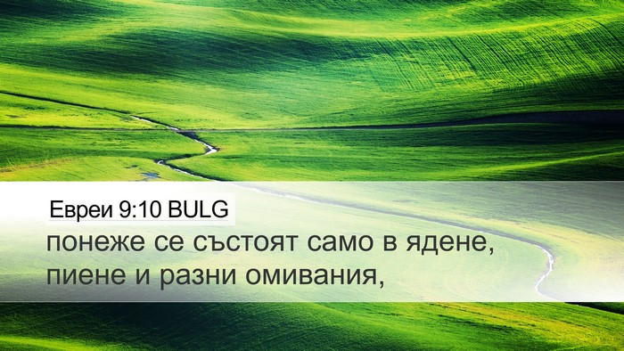 Евреи 9:10 BULG Bible Verse Image