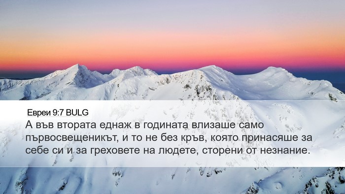 Евреи 9:7 BULG Bible Verse Image
