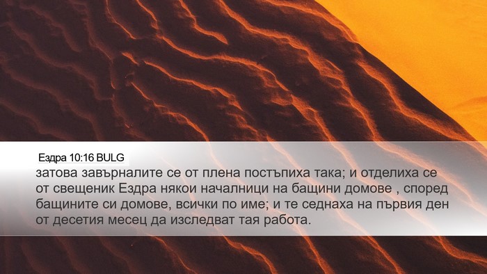 Ездра 10:16 BULG Bible Verse Image