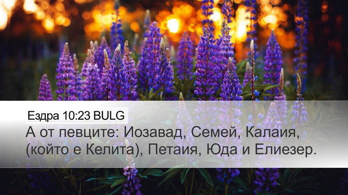 Ездра 10:23 BULG Bible Verse Image